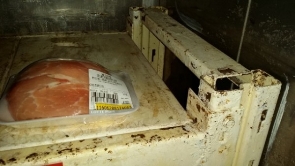 0e64979fd2894fae50013c5959f45202_1507851